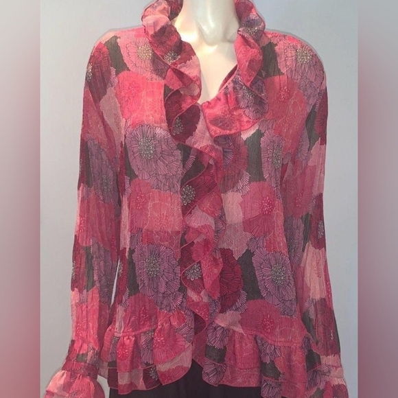 Claudia Ev Women's Sheer Chiffon Purple & Red Long Sleeve Ruffle Blouse Size 16W - Picture 1 of 10